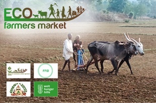 ecofarmers market